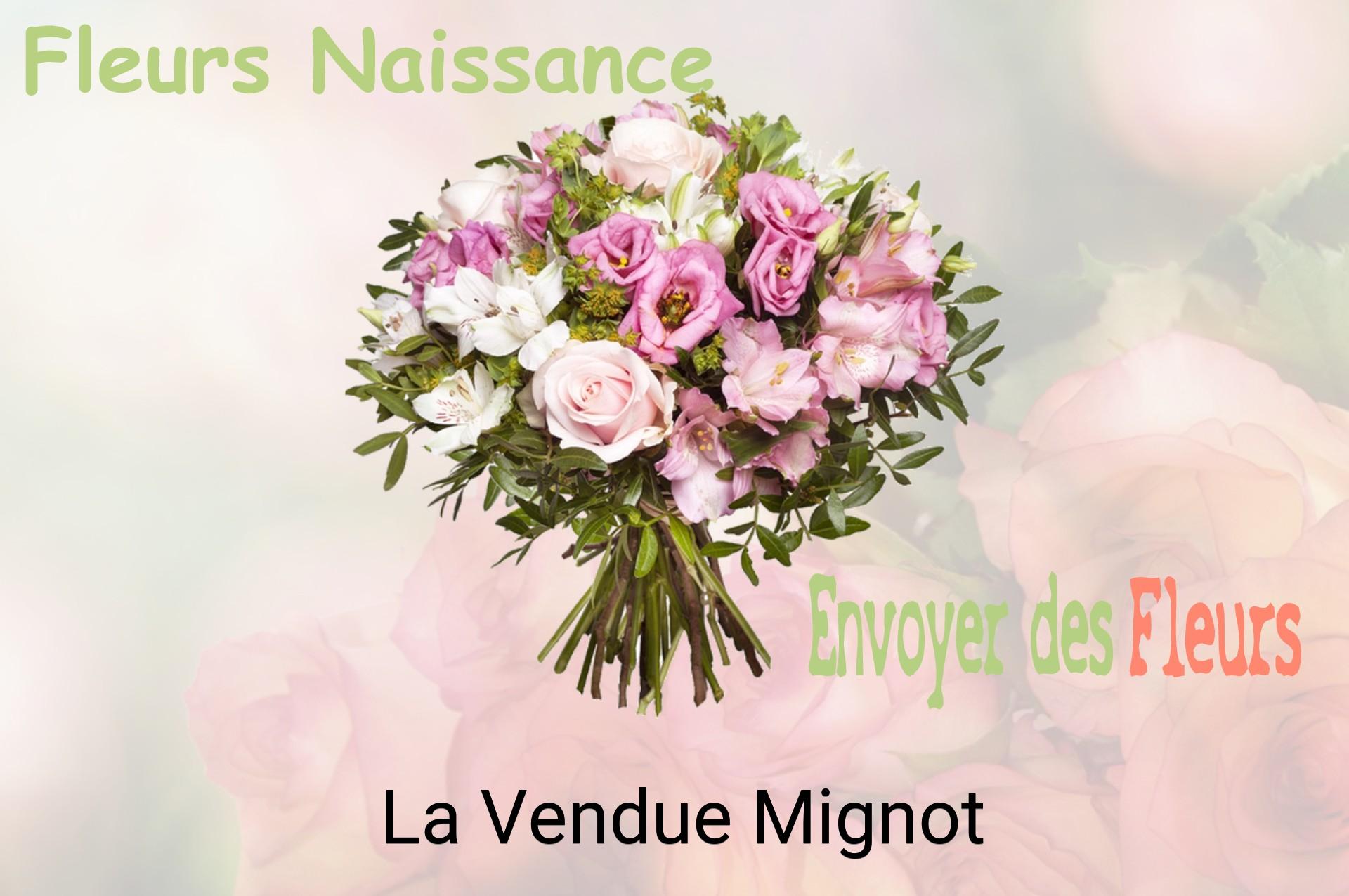 Bouquet de fleurs de naissance livré à La Vendue-Mignot